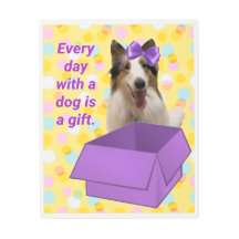 Todos os dias com um cão são um presente