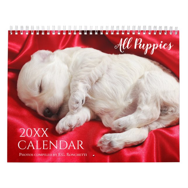 Todos os Filhotes Calendário de Parede de Cachorri (Capa)