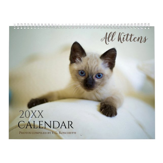 Todos os Gatinhos Fofos Calendário de Parede Prese (Capa)