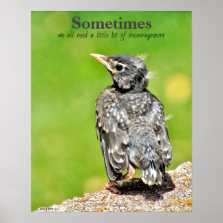 Todos Precisamos de Poster de sala de aula de enco