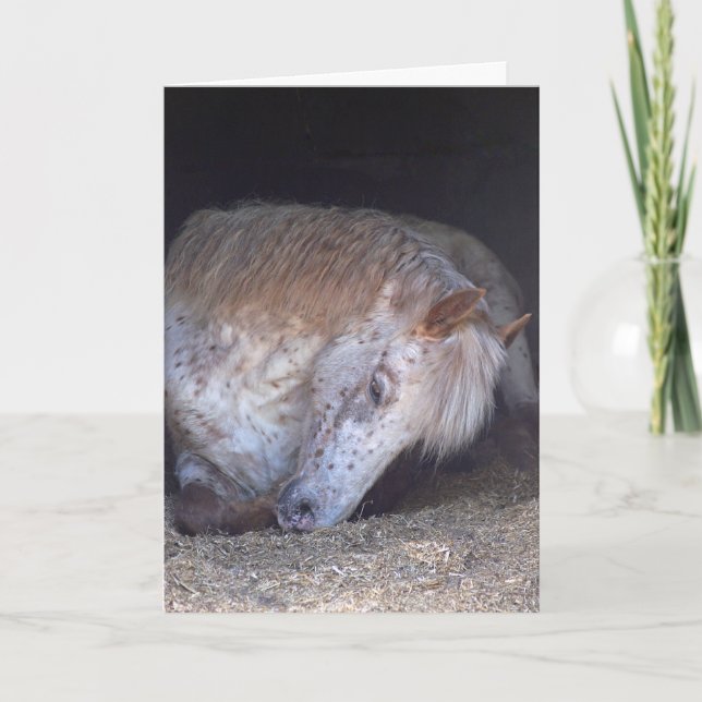 Tomando lhe o cartão de aniversário fácil (Frente)