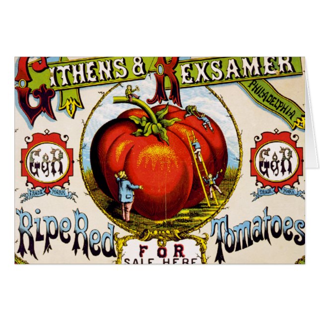 Tomates De Corrida Vermelha Para Venda - Anúncio D (Frente Horizontal)