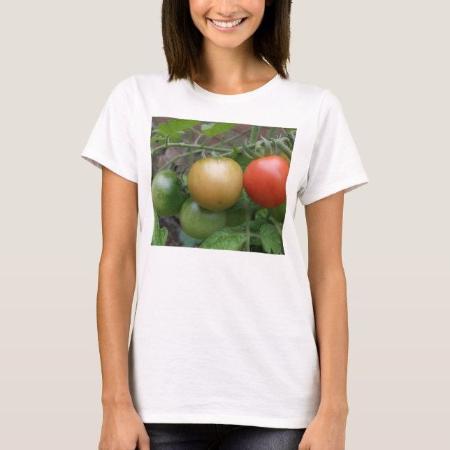 Tomates Luzes Trânsito Damas T Camisa (Frente)
