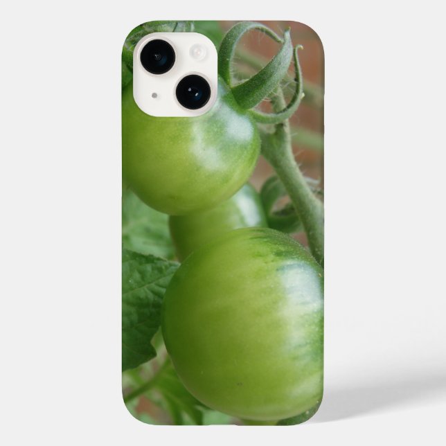 Tomates verdes (Verso)