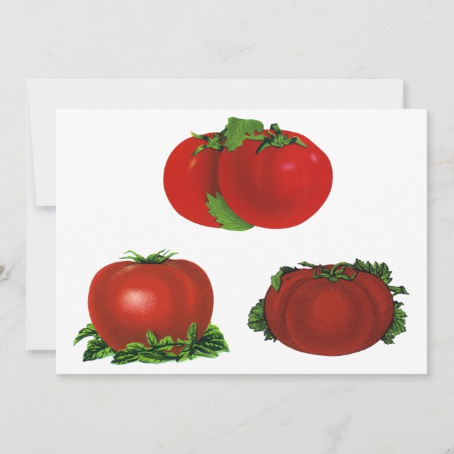 Tomates Vermelhos Maduros Vintage Comida, Frutas,  (Frente)