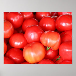 Tomates vermelhos suculentos Poster