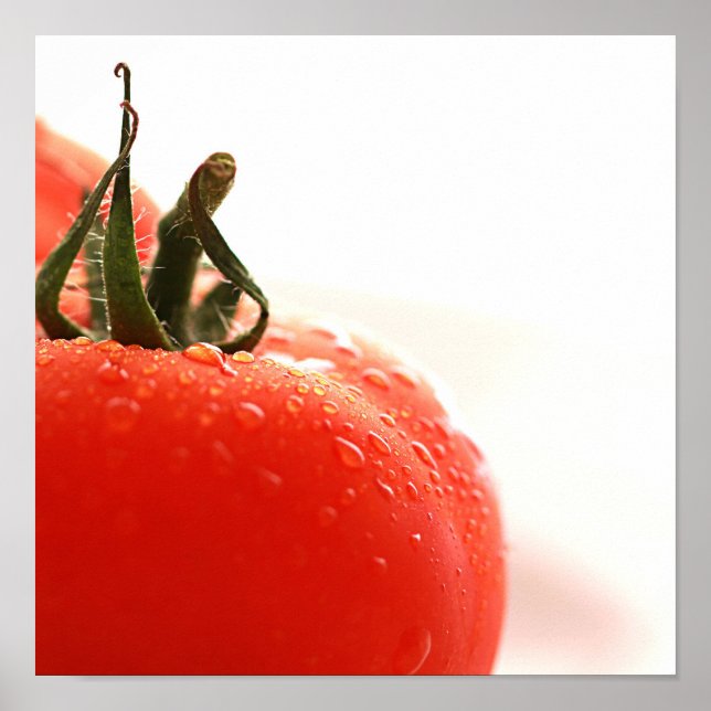 Tomato Fechar Poster (Frente)