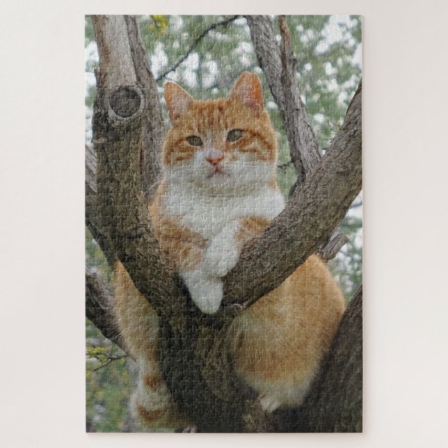 Tomcat Jigsee Quebra-cabeça (Vertical)