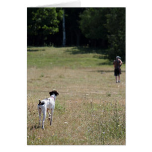 Tome-me com você o cartão