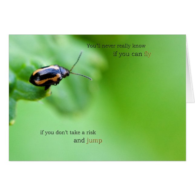 Tome um cartão do risco (Frente horizontal)