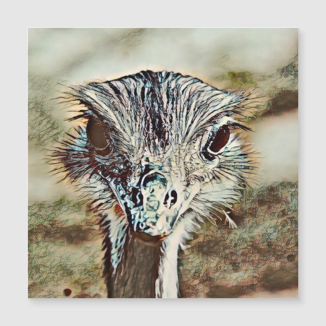 toony ostrich (Frente)