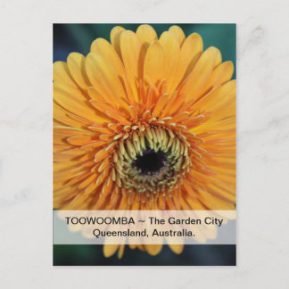 Toowoomba A Cidade Jardim Cartão Postal