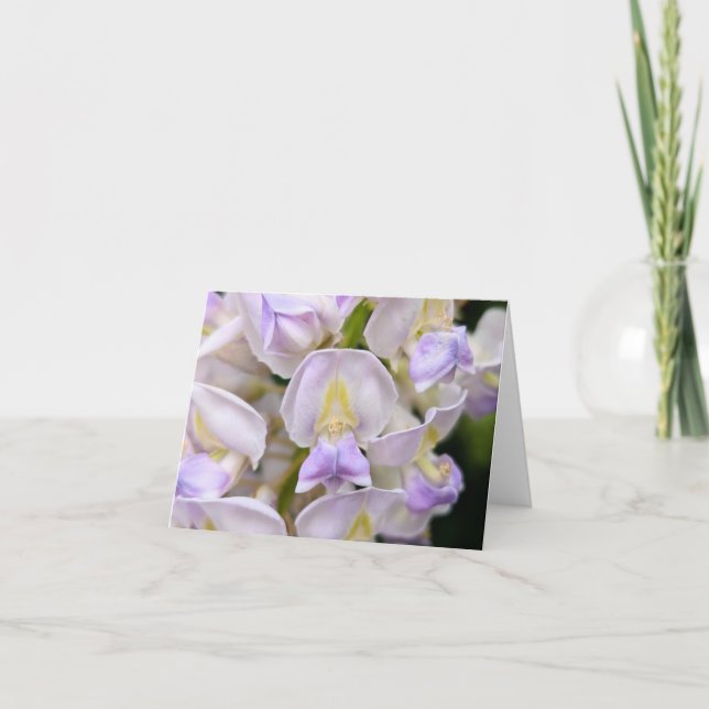 Toque da Natureza - Saudação e Cartões de agradeci (Frente)