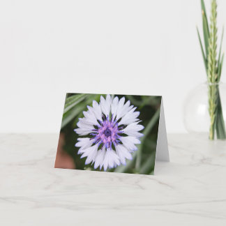 Toque da Natureza - Saudação e Cartões de agradeci