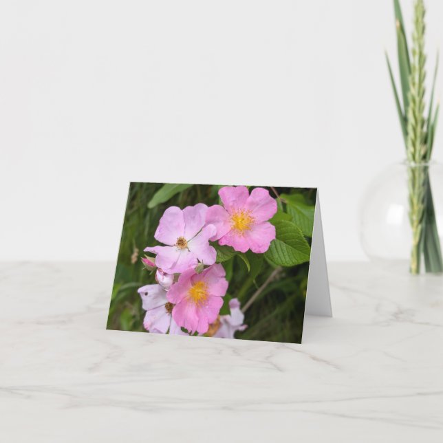 Toque da Natureza - Saudação e Cartões de agradeci (Frente)