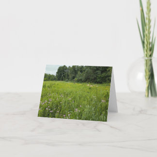 Toque da Natureza - Saudação e Cartões de agradeci