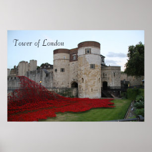 Torre de Londres com papoilas cerâmicas - poster