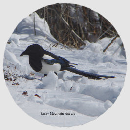 Torre de praia redonda Rocky Mountain Magpie