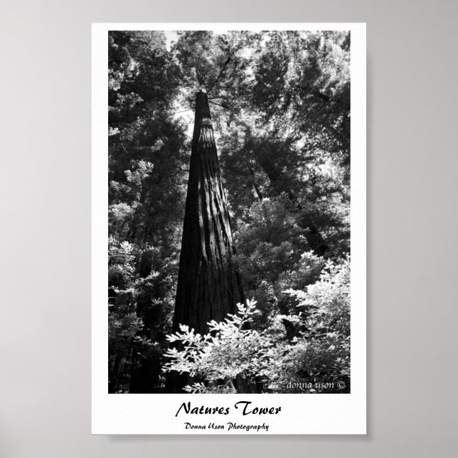 Torre poster Natures (Frente)