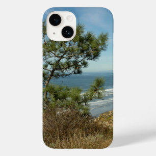 Torrey Pine e California Costeira Paisagem