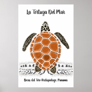 Tortuga o poster da tartaruga de Del Mar do La -