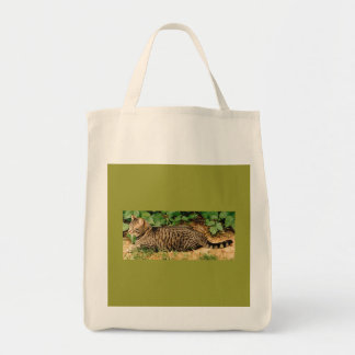 Tote A bolsa de canvas do gato de gato malhado
