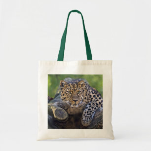Tote A bolsa de vigia