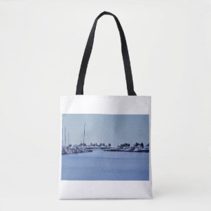 Tote Barcos no porto no bolsa do lago 2