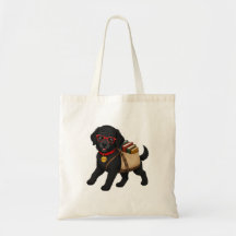 Bolsa Buster Reads