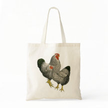 Bolsa de Galinhas