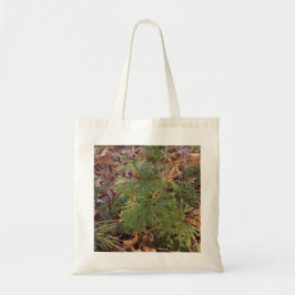Tote Bolsa de Lona com Foto de Mudas de Pinheiro
