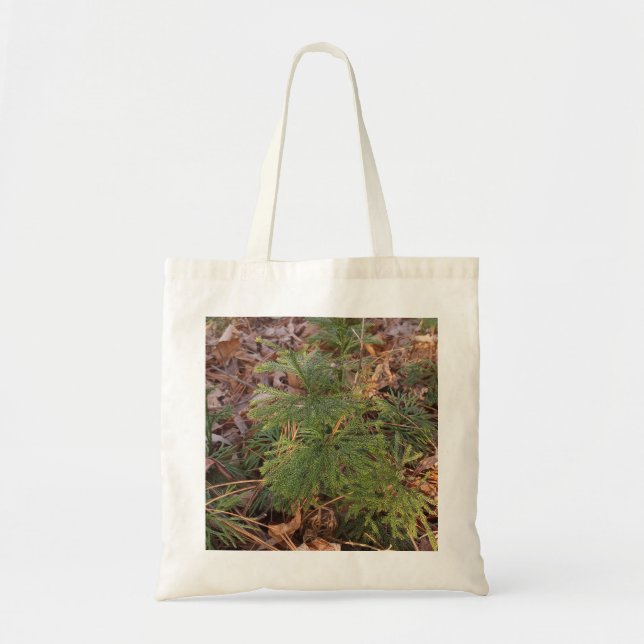 Tote Bolsa de Lona com Foto de Mudas de Pinheiro (Frente)