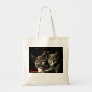 Tote Bolsa de Orçamento de Fotografia de Capas de cinza