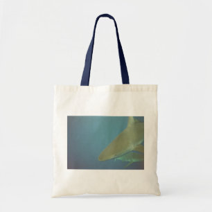 Tote Bolsa de tubarão