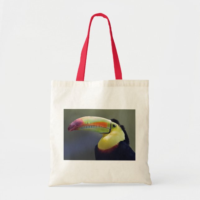 Tote Bolsa do Senhor Tuco (Frente)