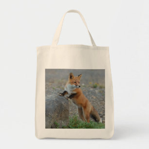 Tote fox o saco, o bolsa da raposa, cliente da raposa,