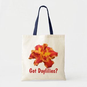 TOTE HEMEROCALLIS OBTIDOS? O BOLSA