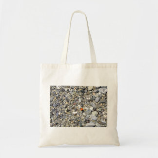 Tote Joaninha no bolsa da praia
