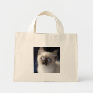 Tote Mini Bolsa