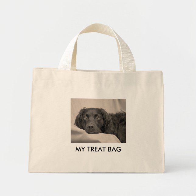 Tote Mini Minha bolsa de tratamento (Frente)