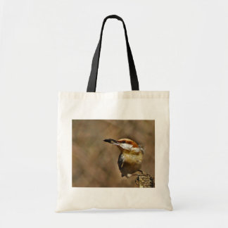 Tote o bolsa Brown-dirigido do pica-pau-cinzento