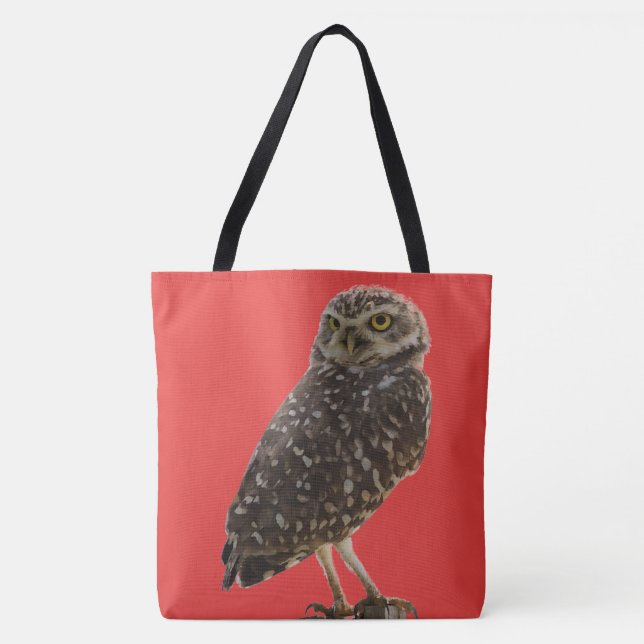 Tote O bolsa da coruja do divertimento (Frente)