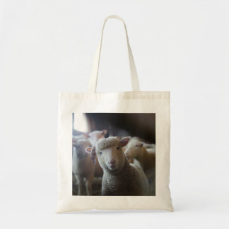 Tote O bolsa da foto do cordeiro