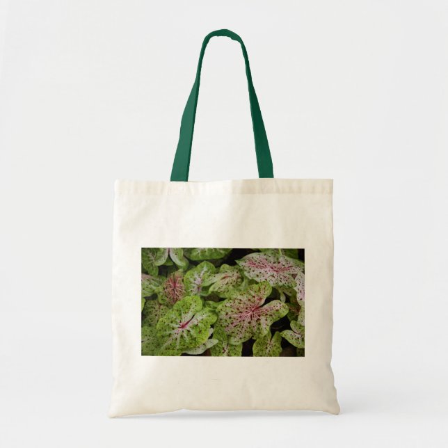 Tote O bolsa de Gingerland do Caladium (Frente)