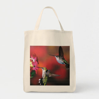 Tote O bolsa do mantimento "2 colibris "
