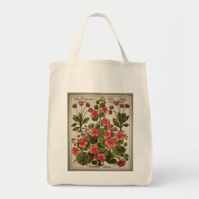 Tote O bolsa orgânico das canvas (Frente)