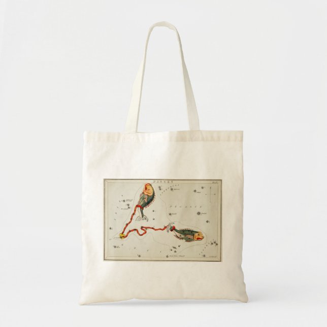 Tote Peixes para a bolsa (Frente)