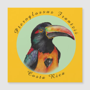 Toucador de aquarela