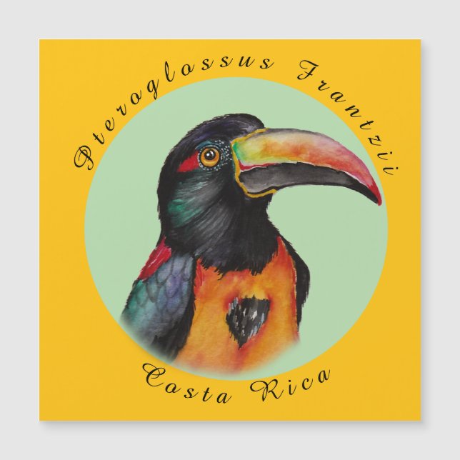 Toucador de aquarela (Frente)