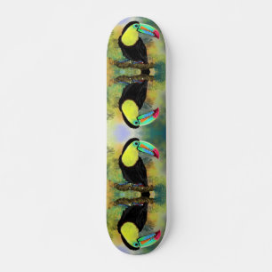 Toucan Bird Skateboard